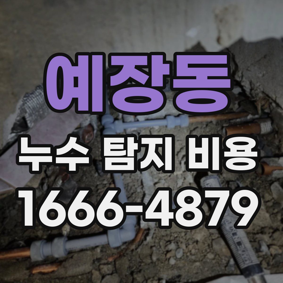 예장동 누수 탐지 비용