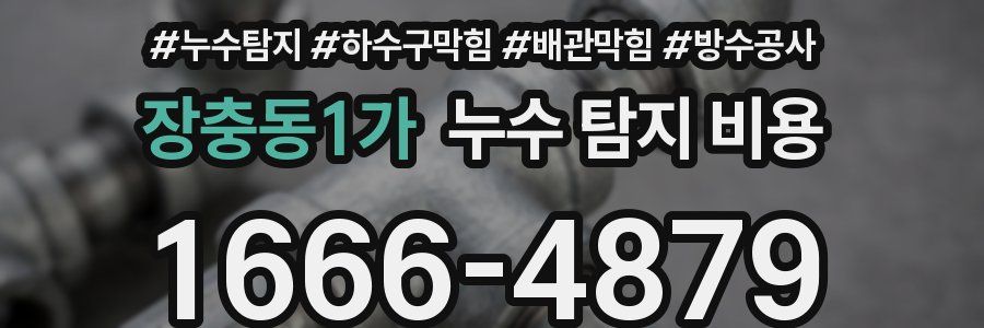 장충동1가 누수 탐지 비용