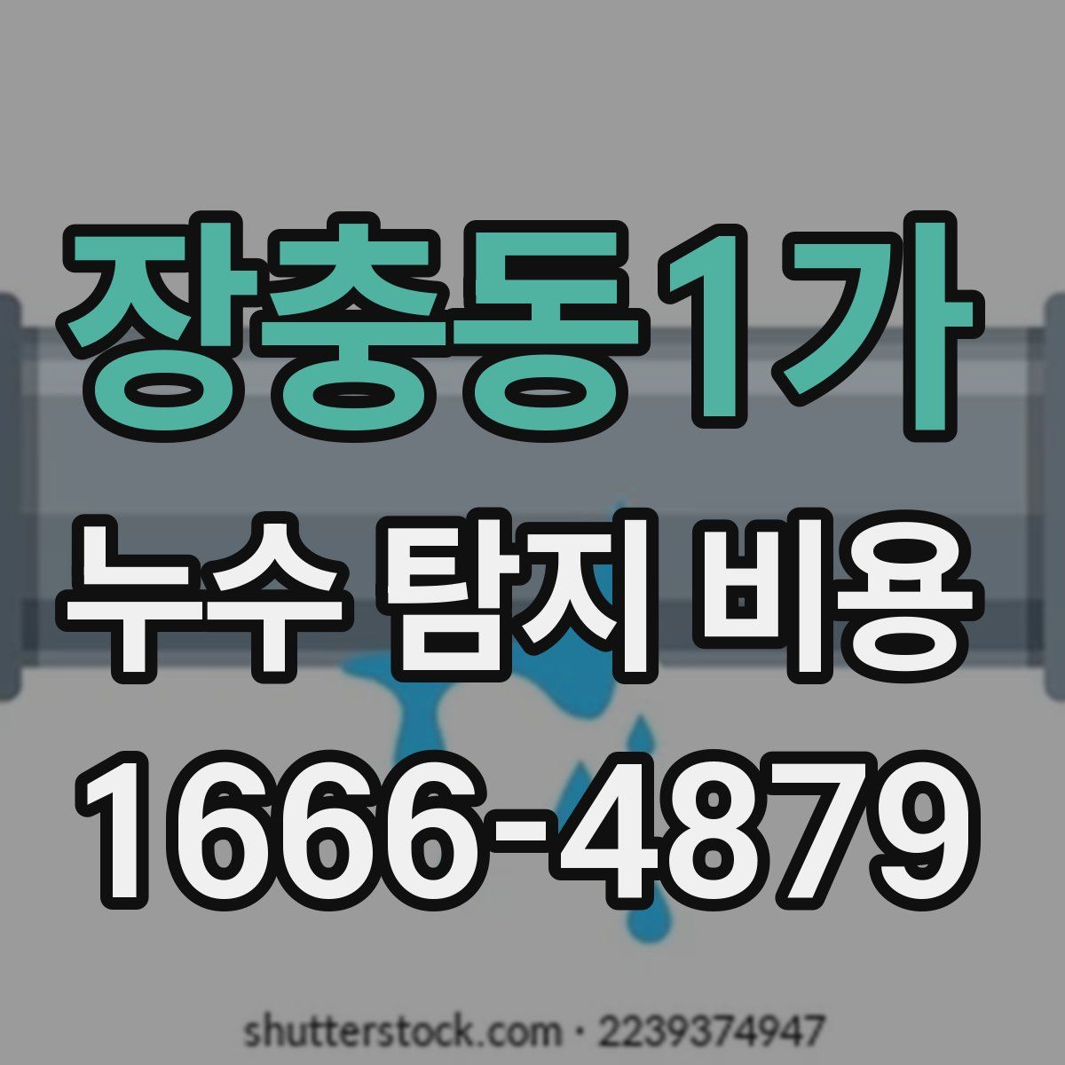 장충동1가 누수 탐지 비용