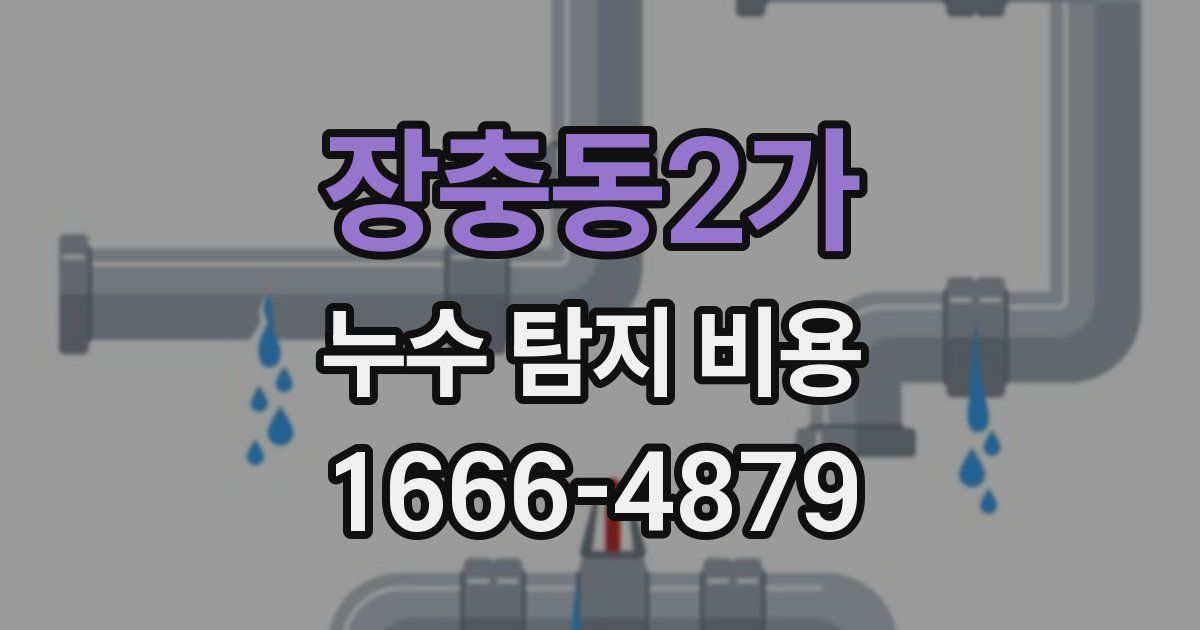장충동2가 누수 탐지 비용