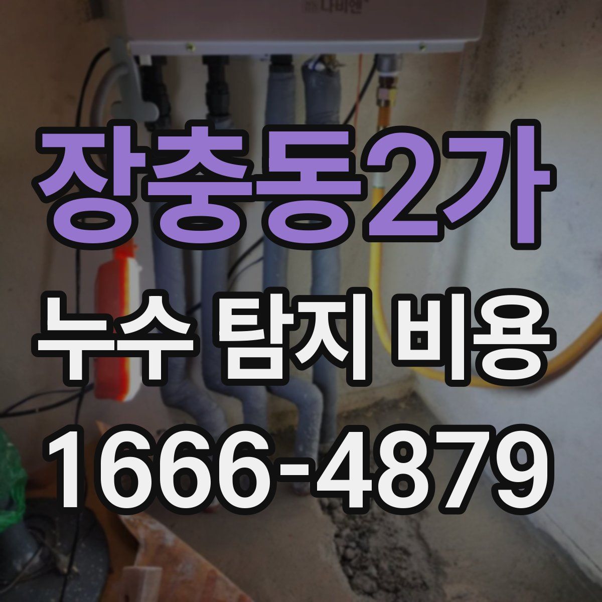 장충동2가 누수 탐지 비용