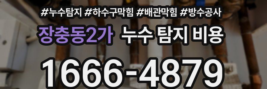 장충동2가 누수 탐지 비용