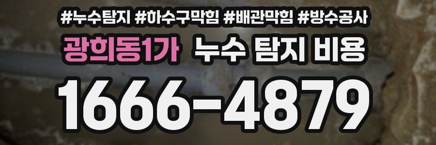 광희동1가 누수 탐지 비용