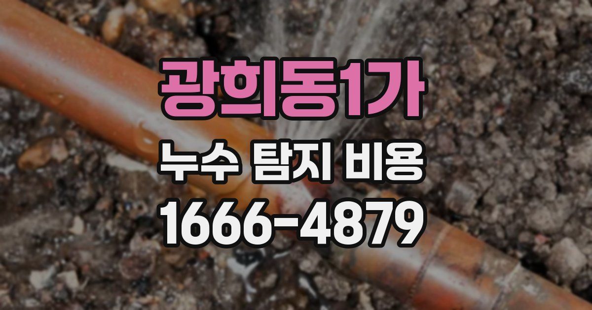 광희동1가 누수 탐지 비용