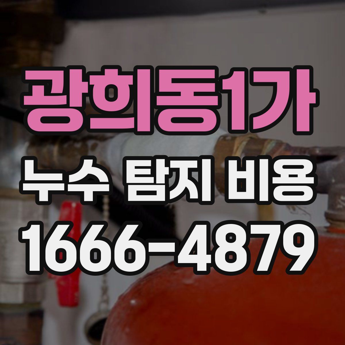 광희동1가 누수 탐지 비용