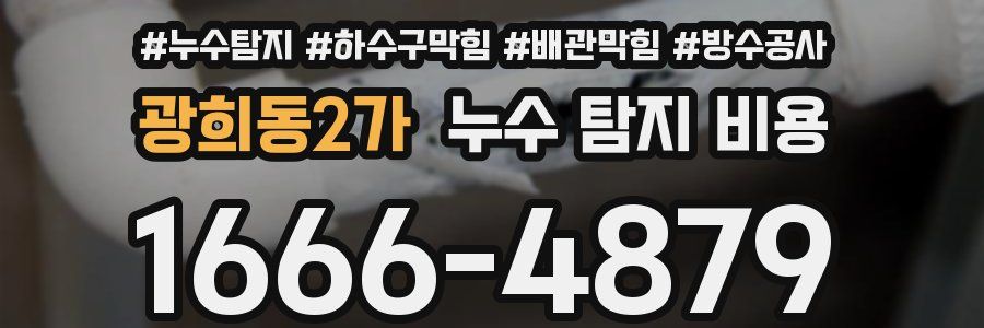 광희동2가 누수 탐지 비용