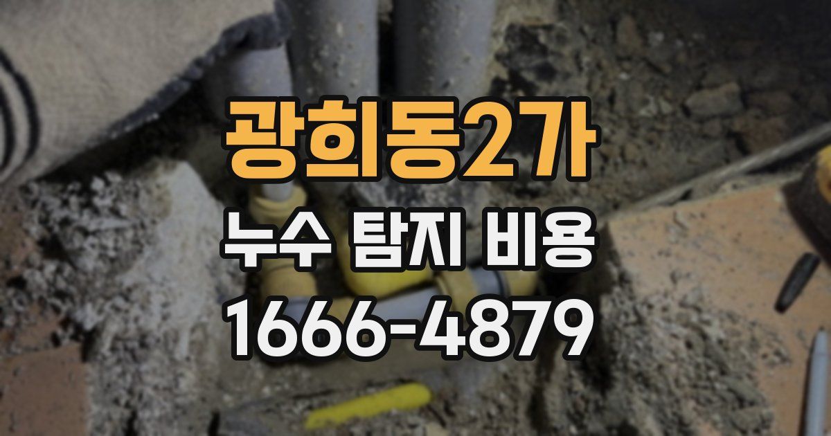 광희동2가 누수 탐지 비용