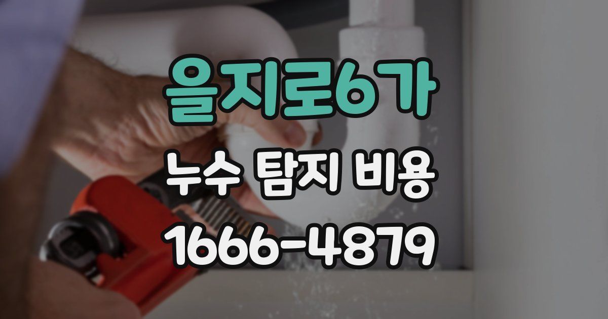 을지로6가 누수 탐지 비용