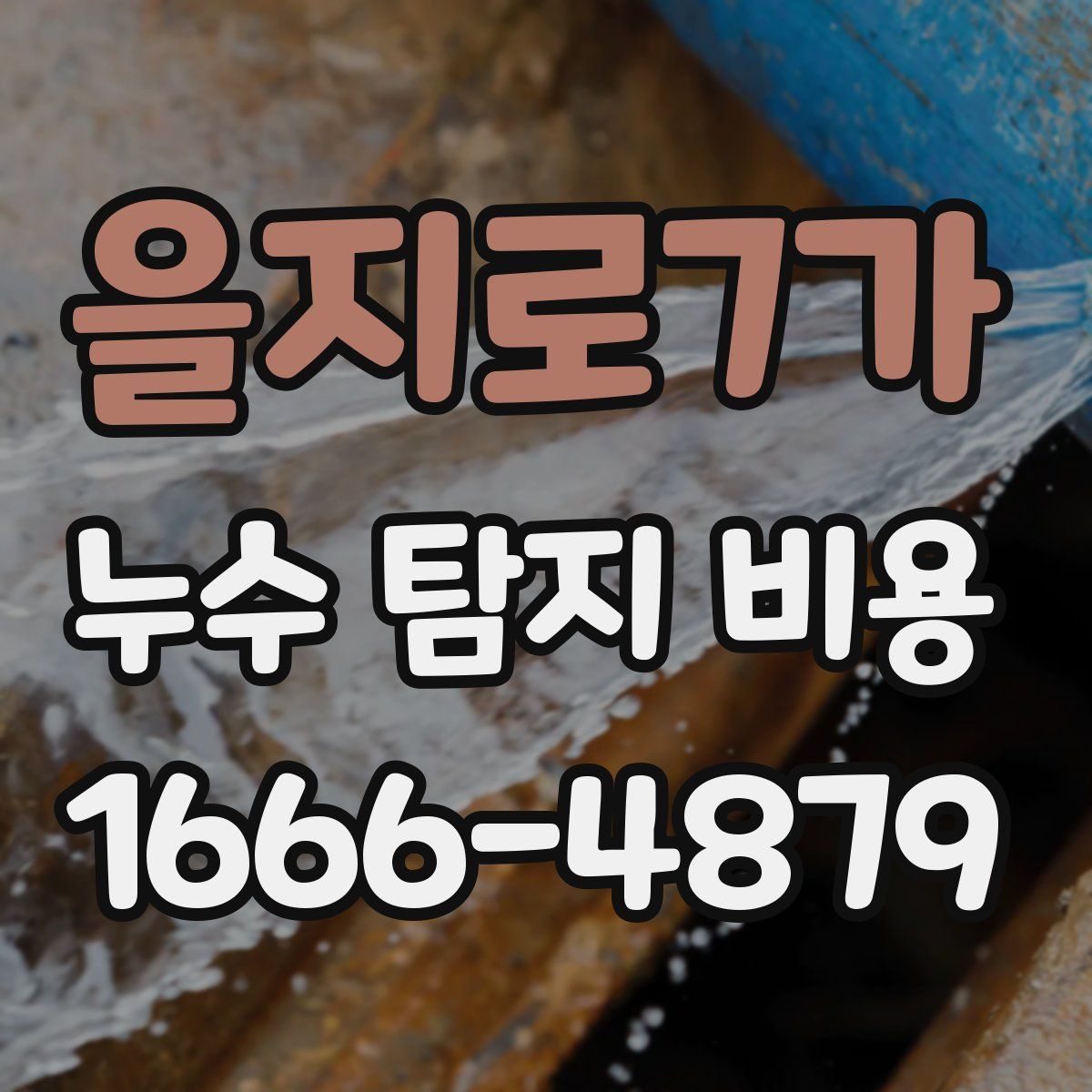 을지로7가 누수 탐지 비용