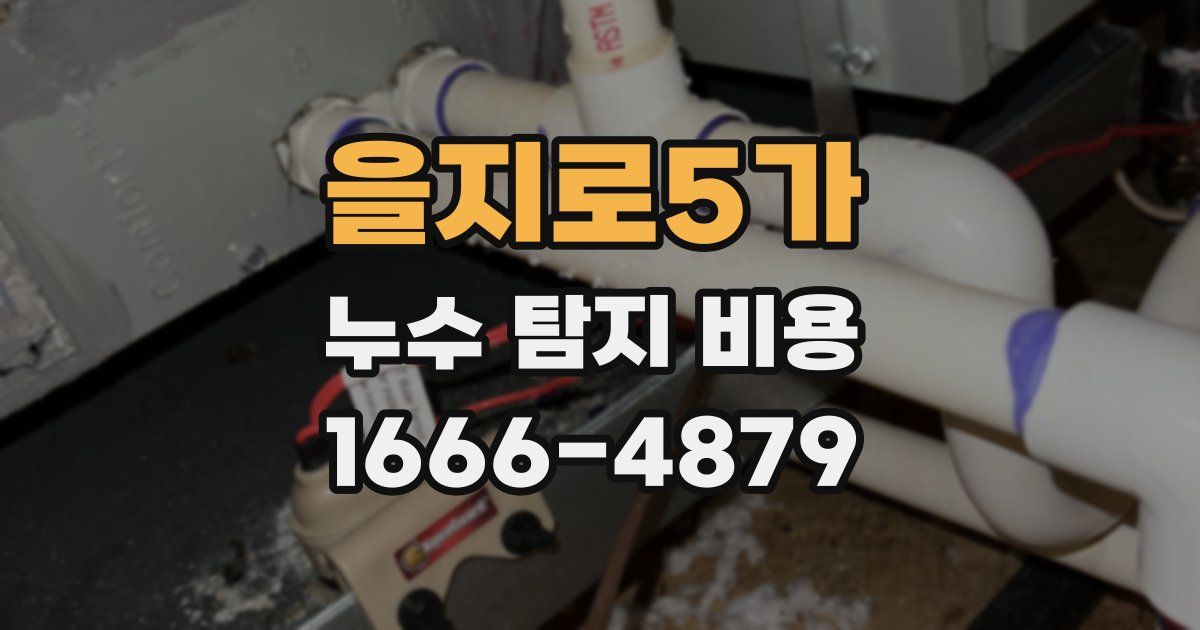 을지로5가 누수 탐지 비용