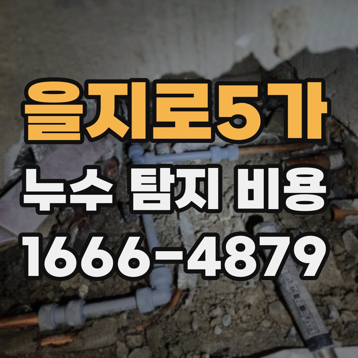 을지로5가 누수 탐지 비용