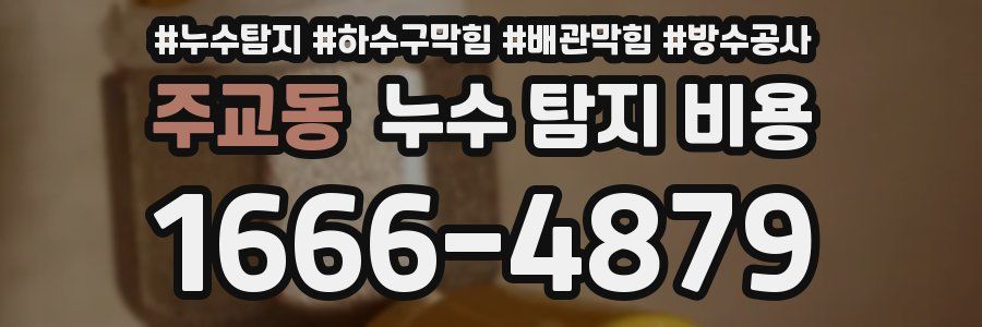 주교동 누수 탐지 비용