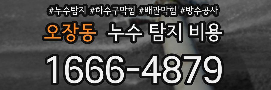 오장동 누수 탐지 비용