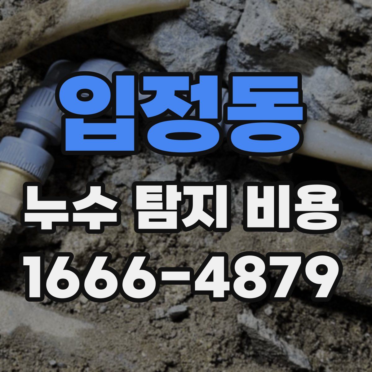 입정동 누수 탐지 비용