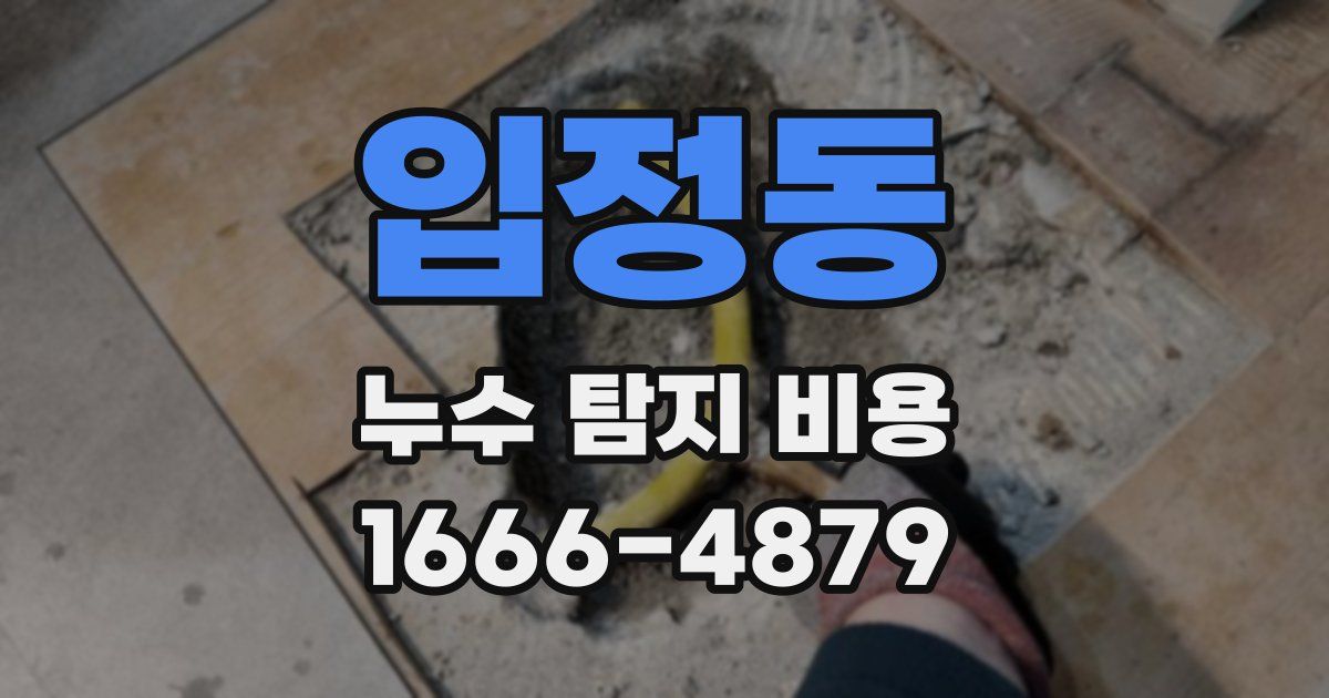 입정동 누수 탐지 비용