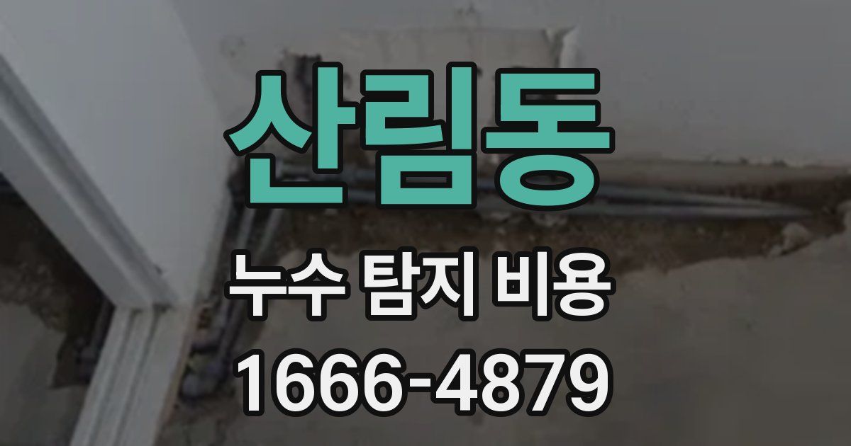 산림동 누수 탐지 비용