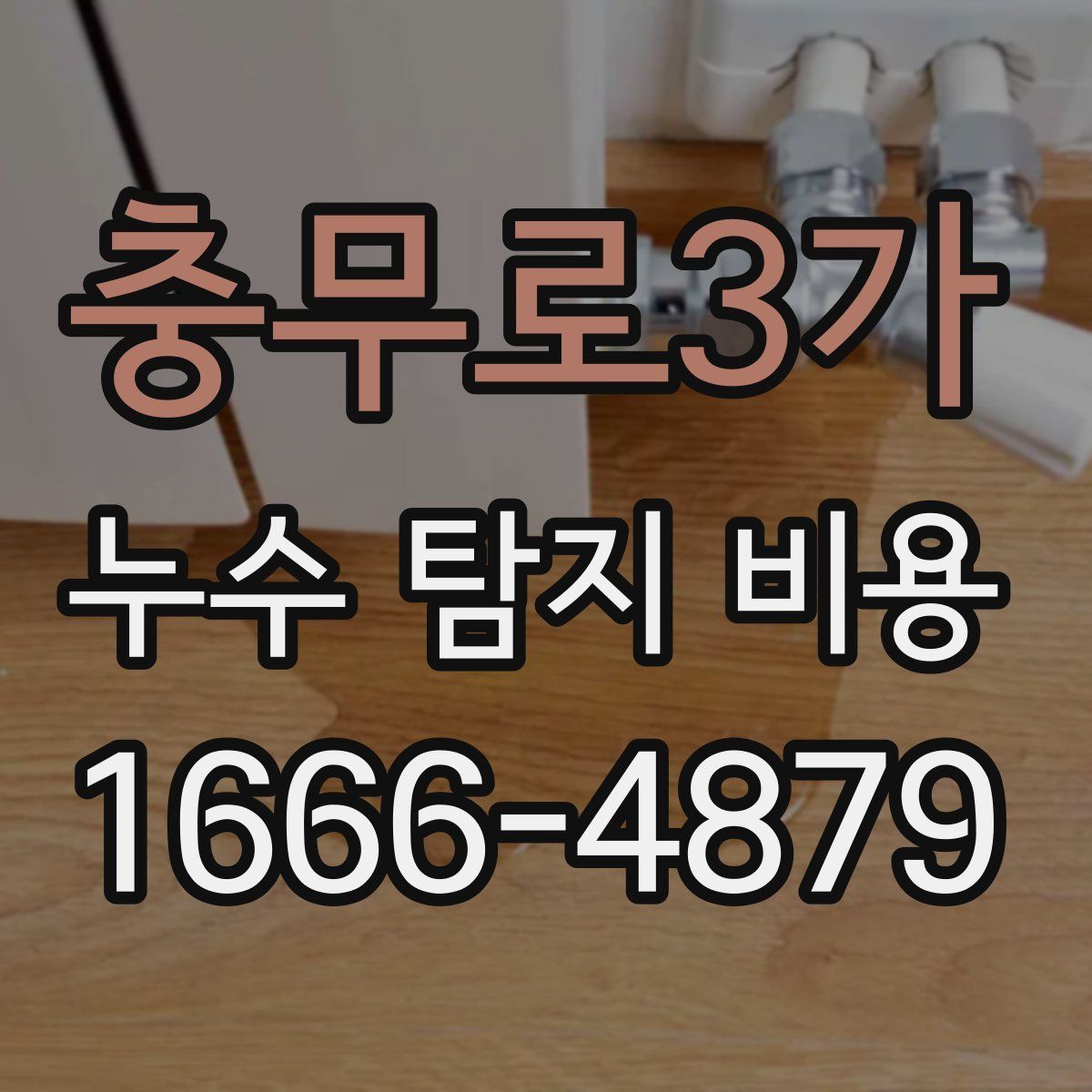 충무로3가 누수 탐지 비용