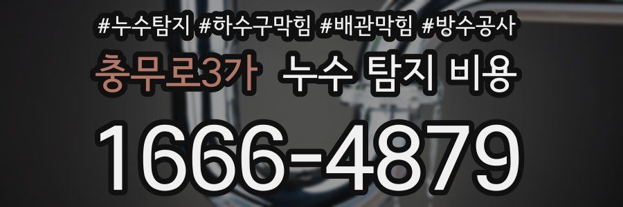 충무로3가 누수 탐지 비용