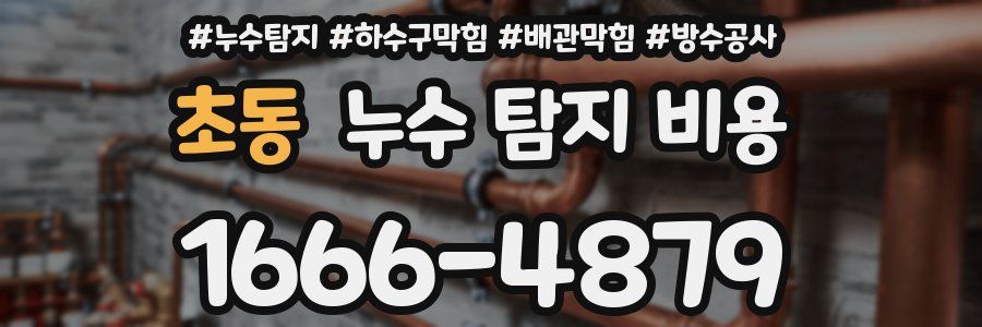 초동 누수 탐지 비용