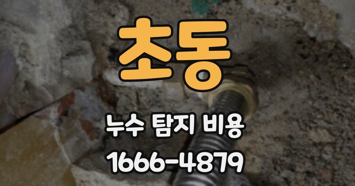 초동 누수 탐지 비용