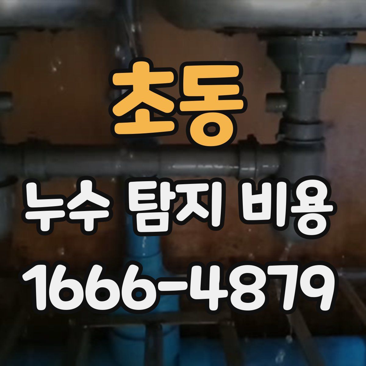 초동 누수 탐지 비용