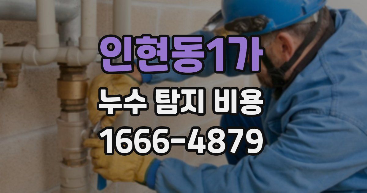 인현동1가 누수 탐지 비용
