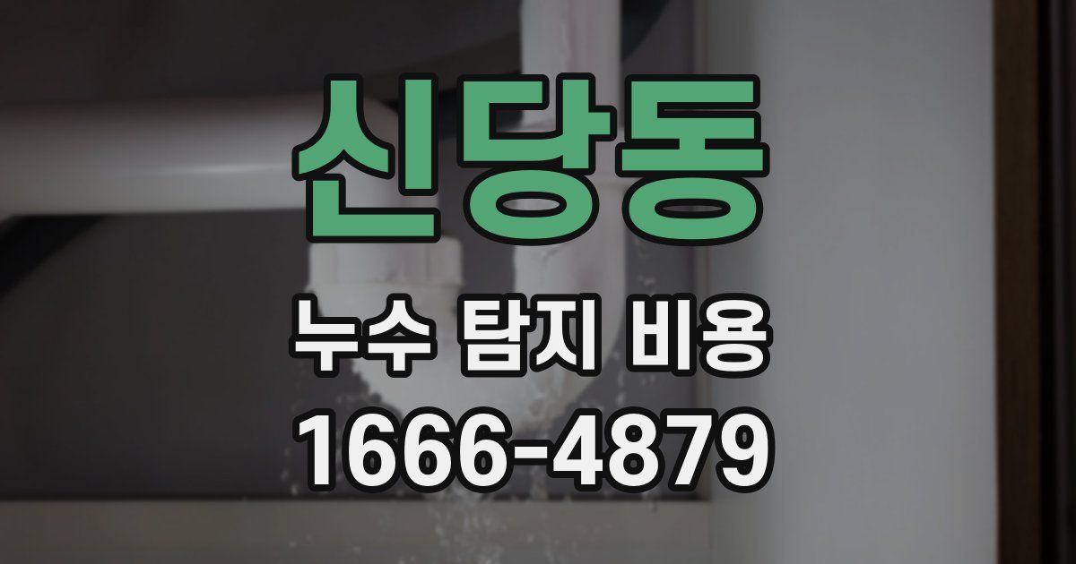 신당동 누수 탐지 비용