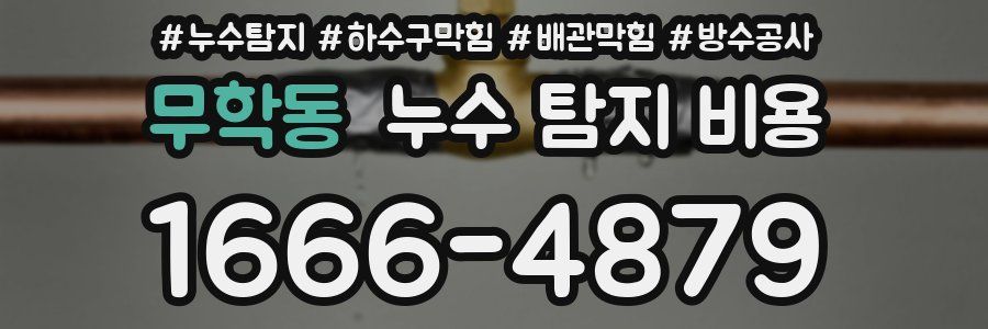 무학동 누수 탐지 비용