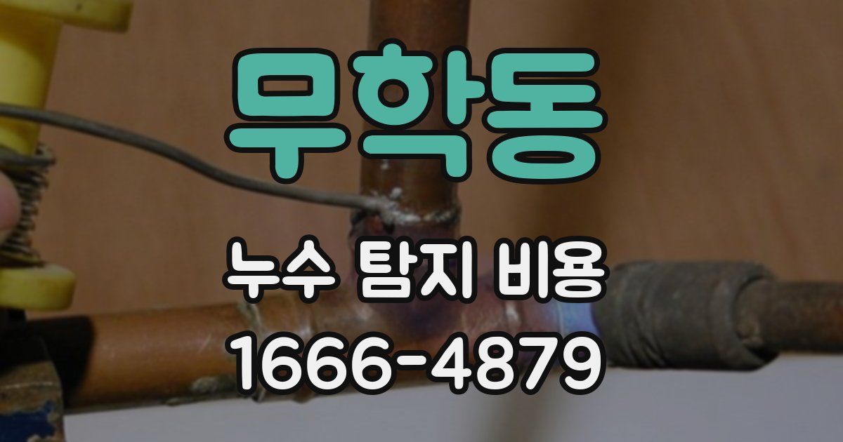 무학동 누수 탐지 비용
