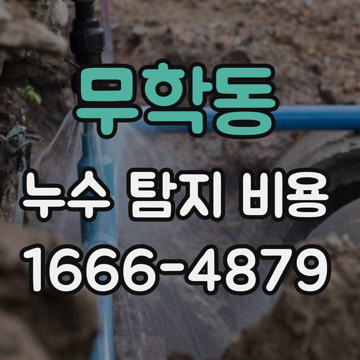 무학동 누수 탐지 비용