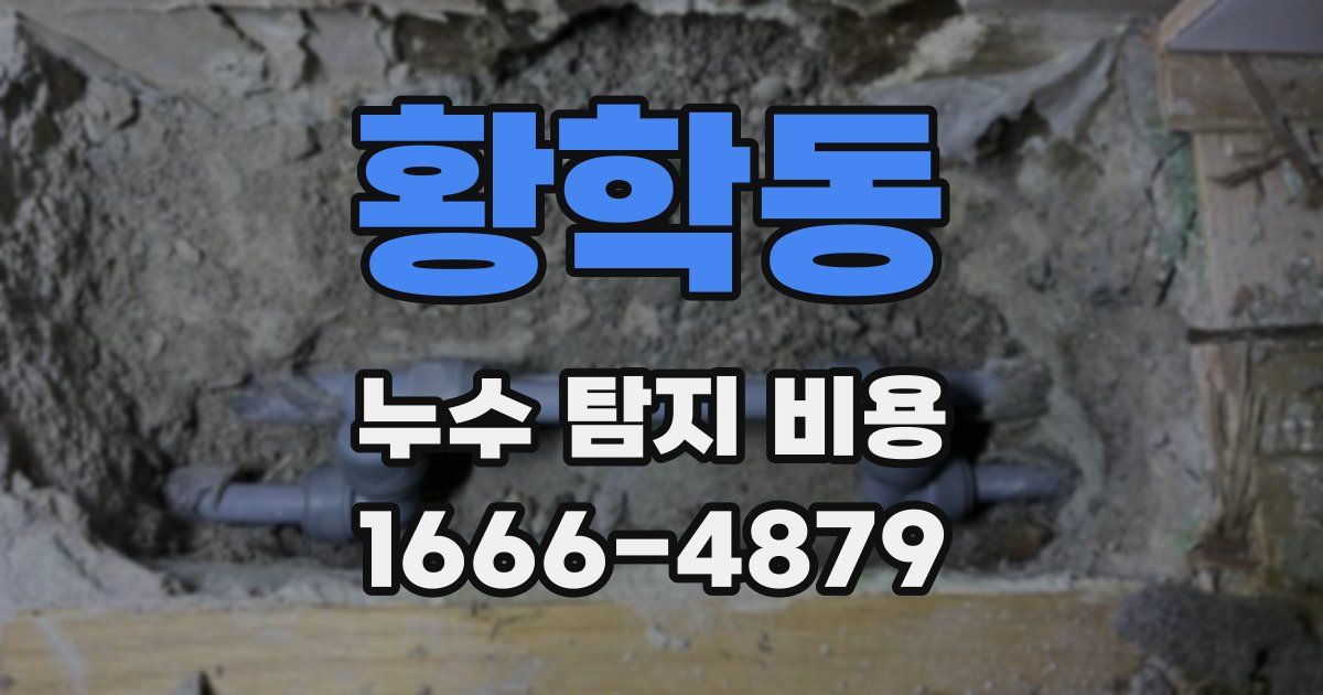 황학동 누수 탐지 비용