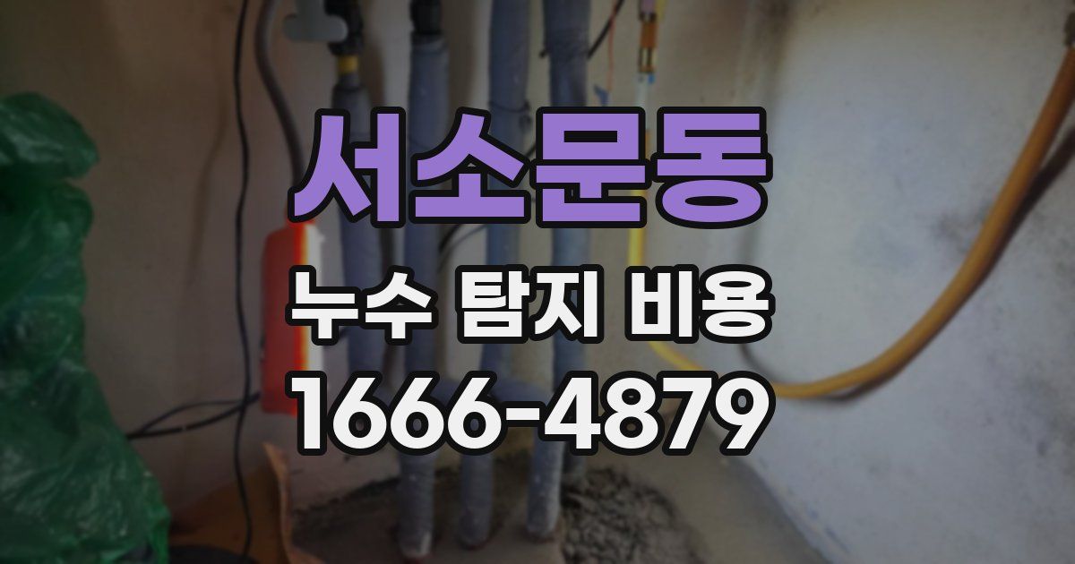 서소문동 누수 탐지 비용
