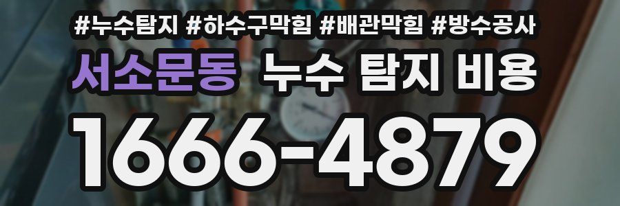 서소문동 누수 탐지 비용