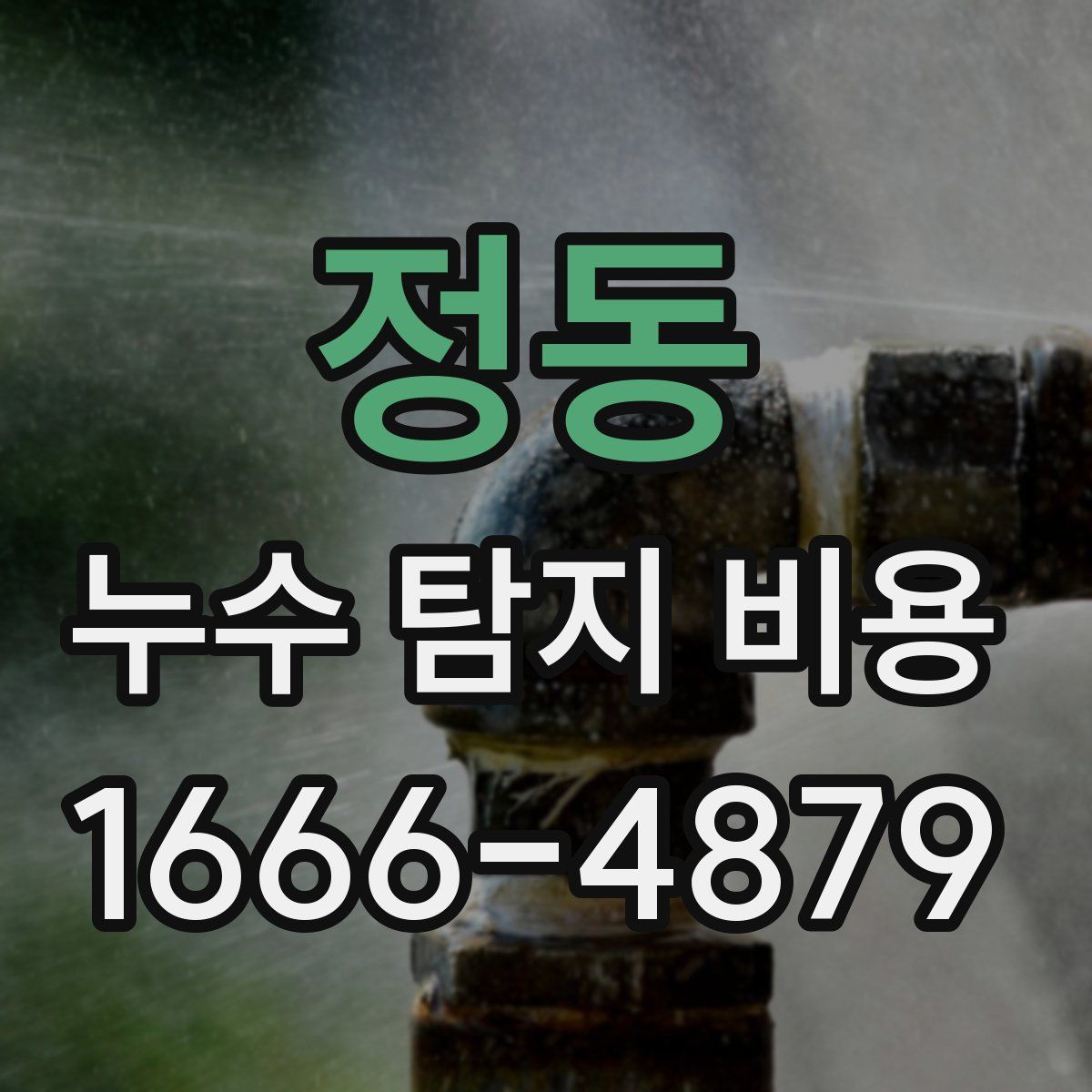 정동 누수 탐지 비용