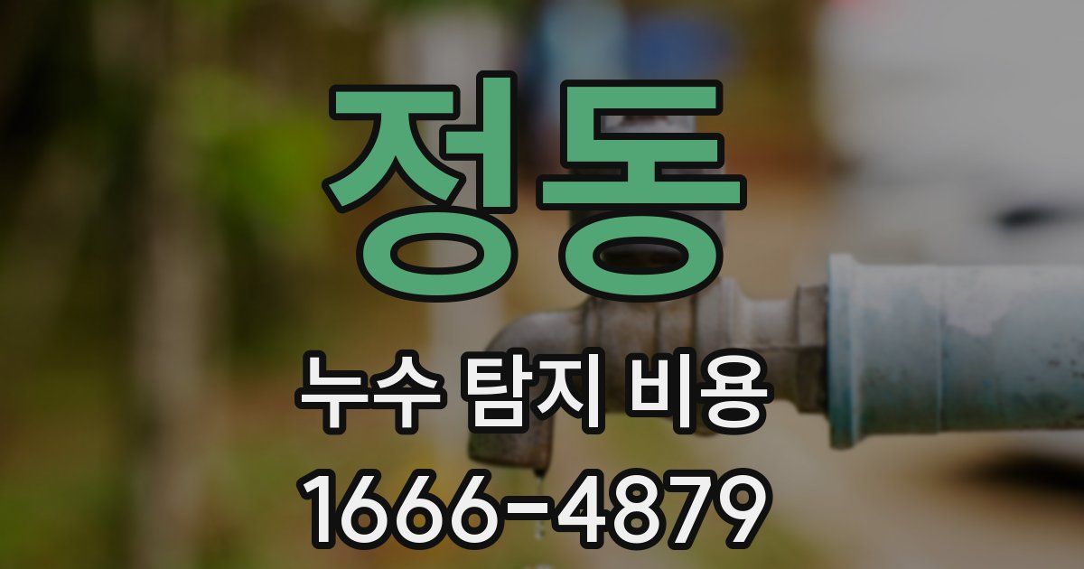 정동 누수 탐지 비용
