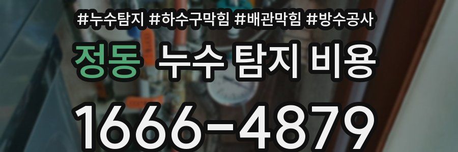 정동 누수 탐지 비용