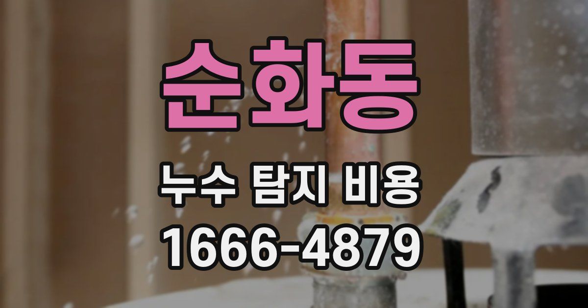 순화동 누수 탐지 비용