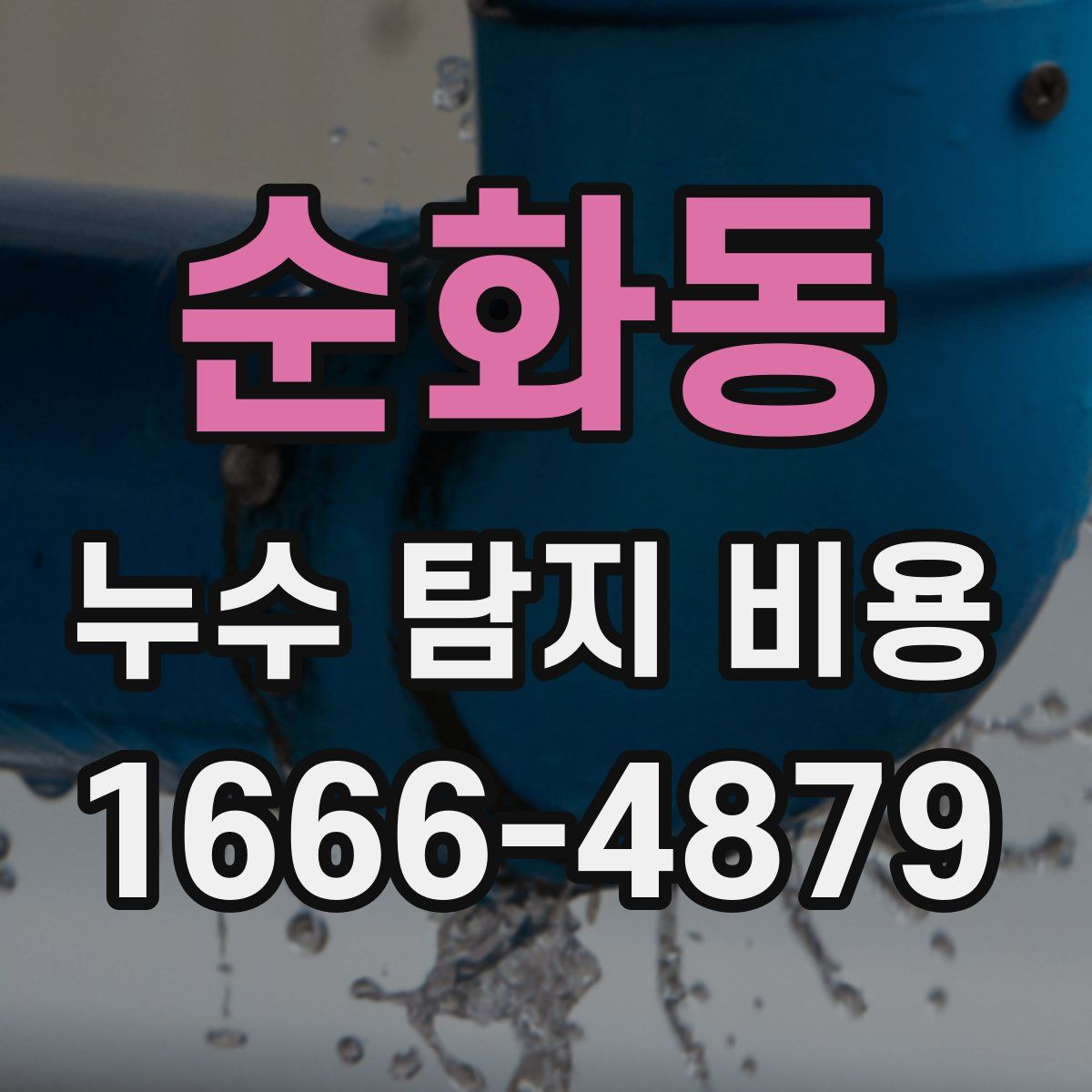 순화동 누수 탐지 비용