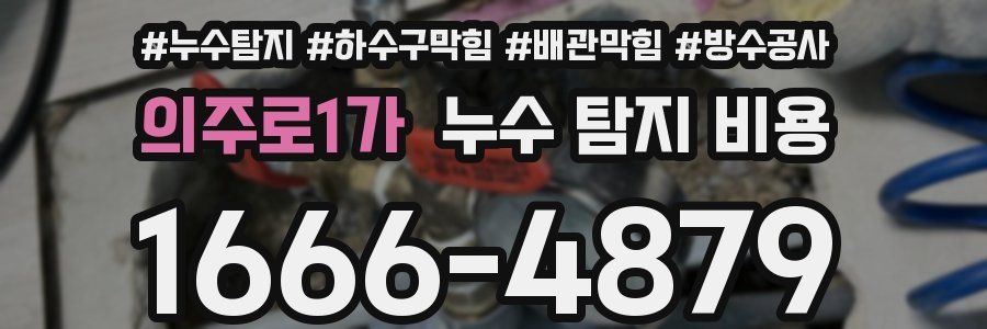 의주로1가 누수 탐지 비용