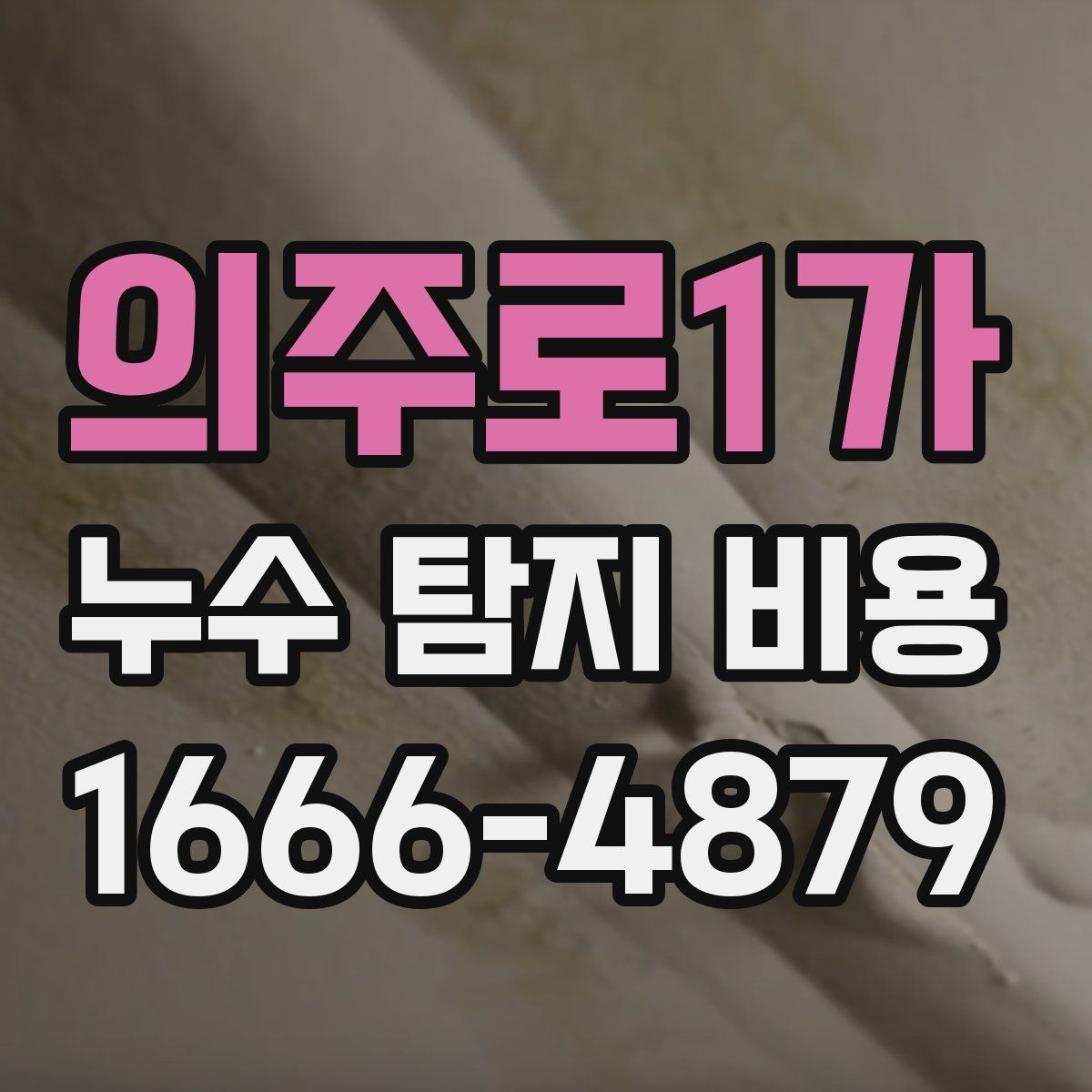 의주로1가 누수 탐지 비용
