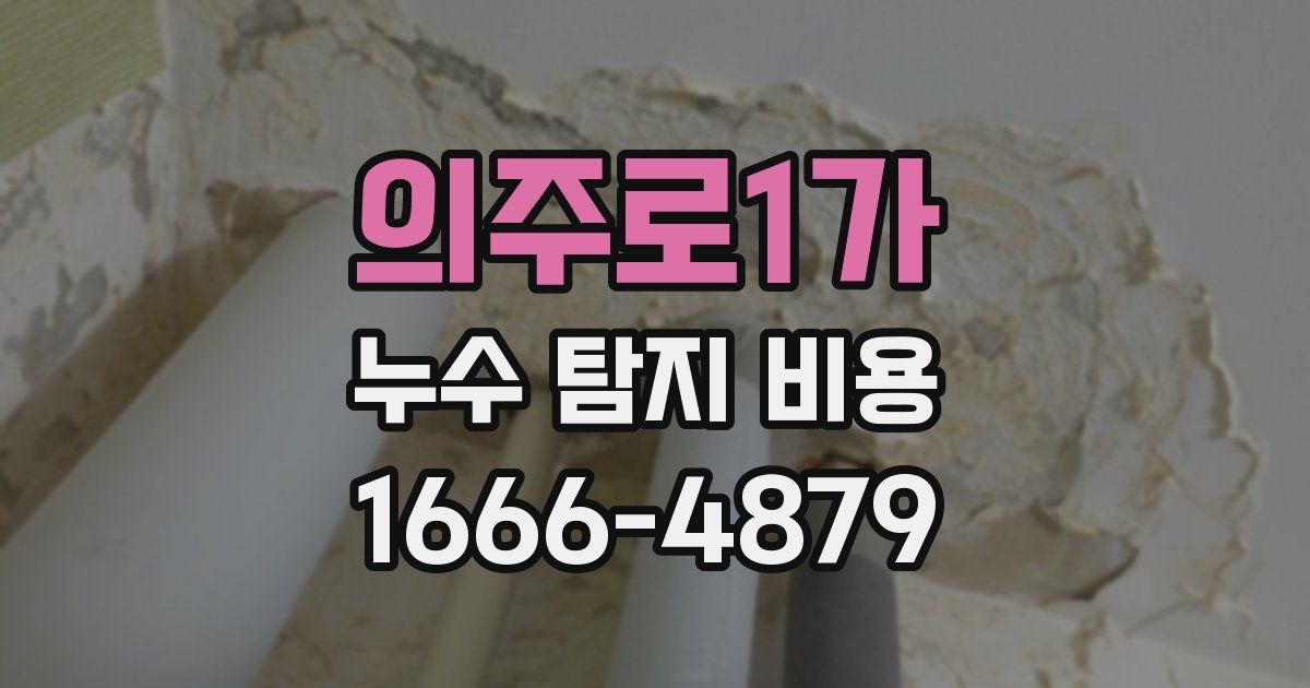 의주로1가 누수 탐지 비용
