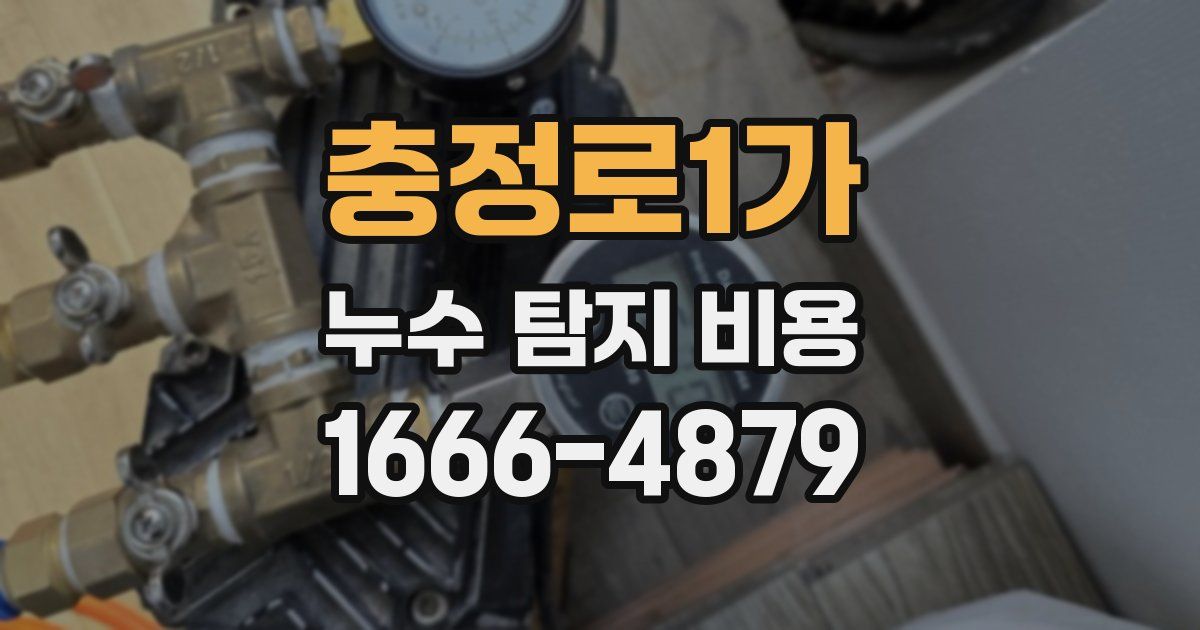 충정로1가 누수 탐지 비용