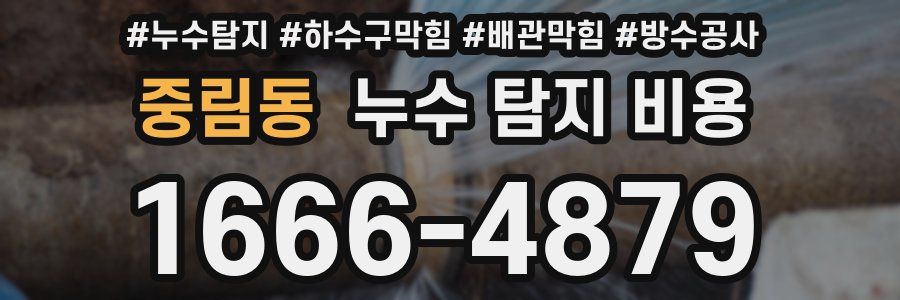 중림동 누수 탐지 비용