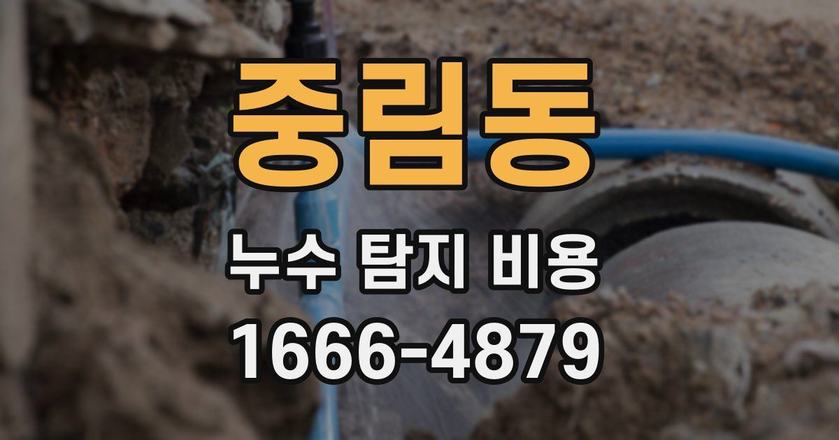 중림동 누수 탐지 비용
