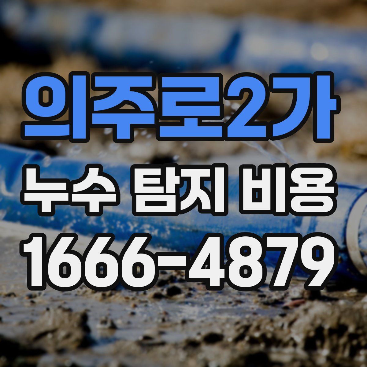 의주로2가 누수 탐지 비용