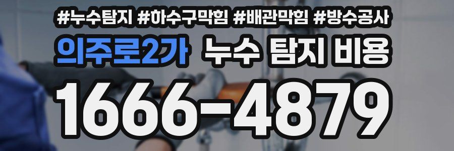 의주로2가 누수 탐지 비용