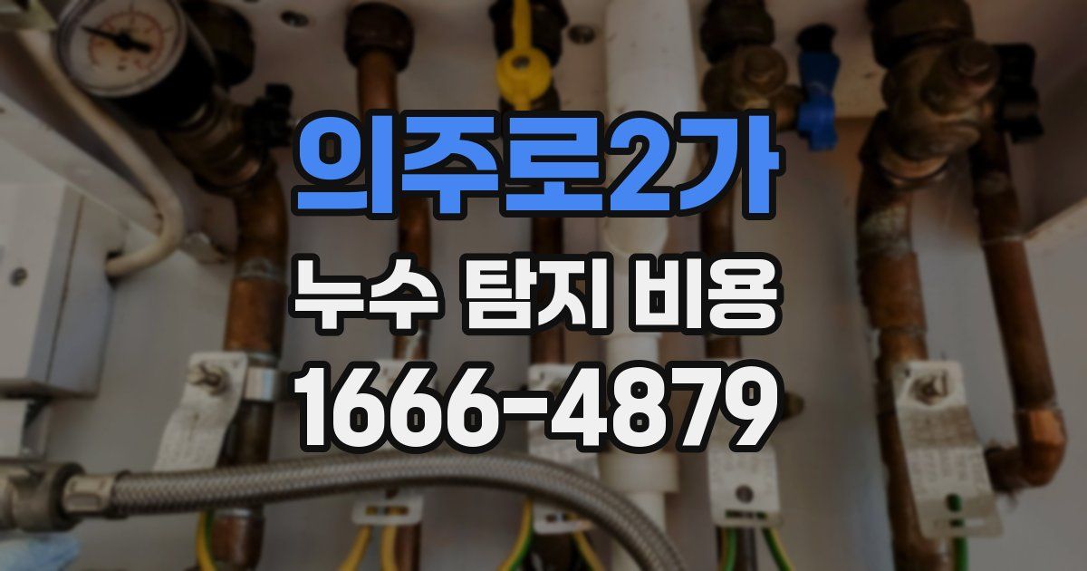 의주로2가 누수 탐지 비용