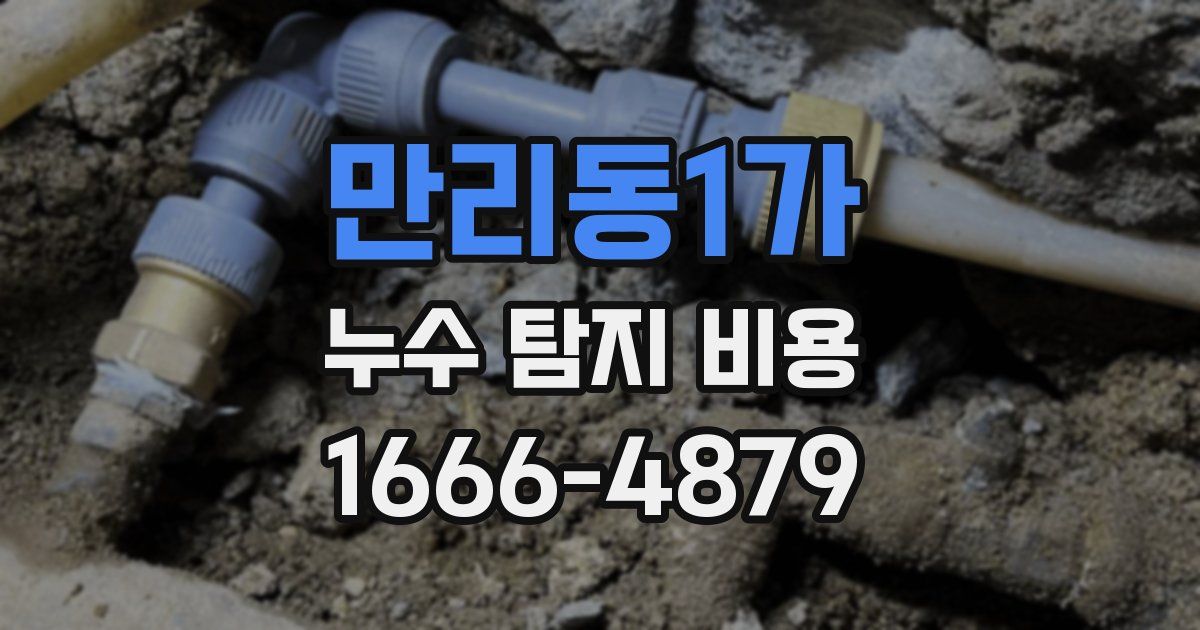 만리동1가 누수 탐지 비용