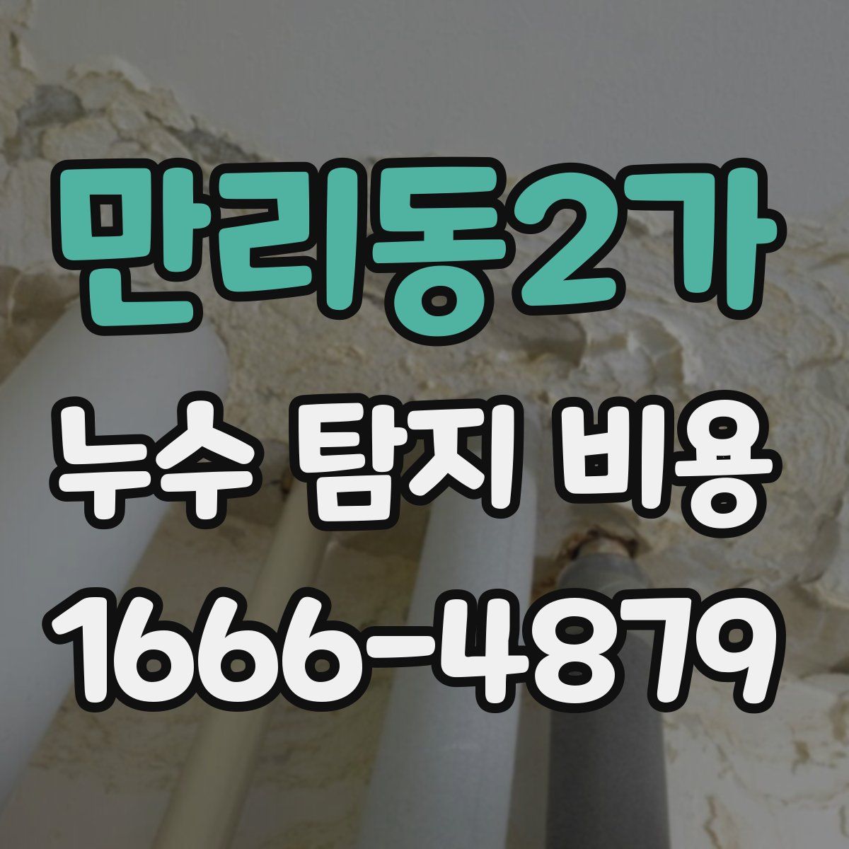 만리동2가 누수 탐지 비용