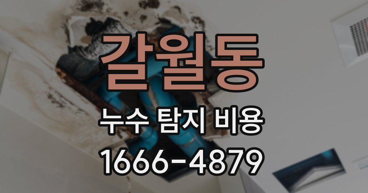 갈월동 누수 탐지 비용